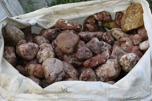 Kamenclub.ru: Розовый валунчик фр.100-300 мм.  купить в Мариуполе крупный природный камень розовый, серый молочный красный речной галечник природный 7850 руб/т   фото КАМЕНЬ КЛУБ