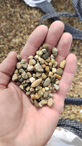 Kamenclub.ru: Галька окат (серо-желтая) фр.5-10 мм. купить  в Мариуполе галька речная рыжий, желтый, рыжий, серо-желтый речная окатанная галька декоративная 5000 руб/т   фото КАМЕНЬ КЛУБ